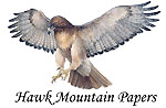 Hawk Mountain Condor, A Conservatory Art Paper, 300